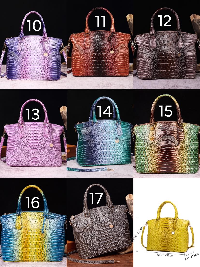Handbag #4